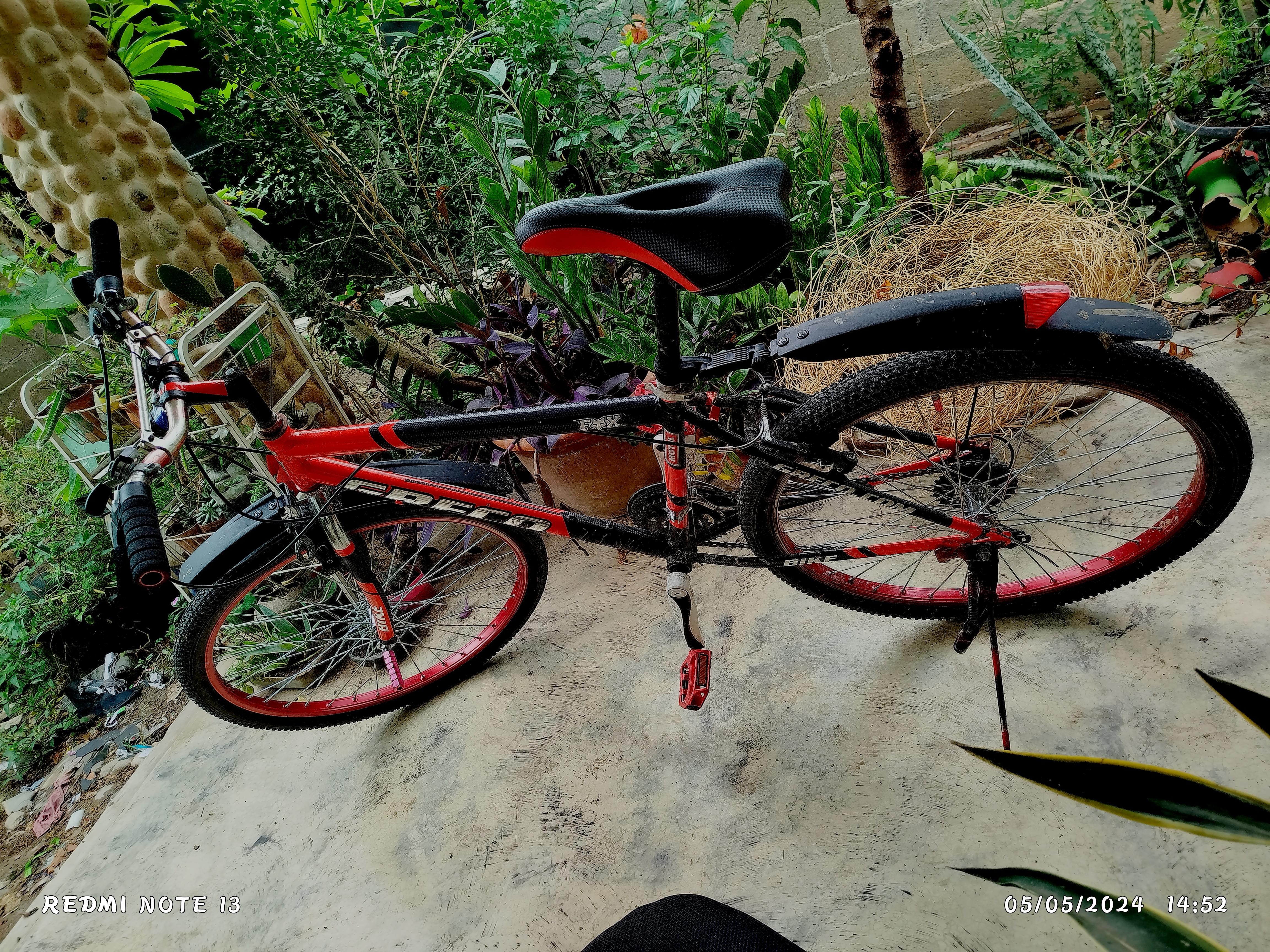 Erick Elies